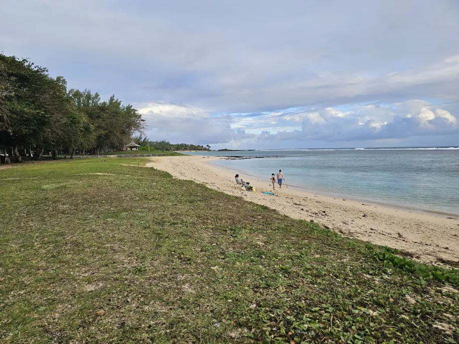 St Felix strand