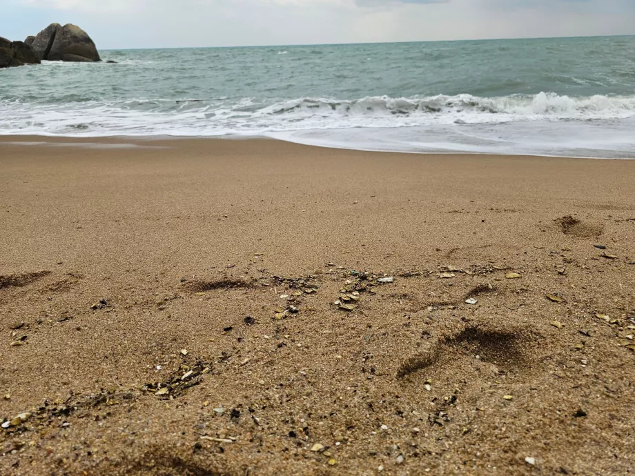 Coral Cove Beach, homok minősége