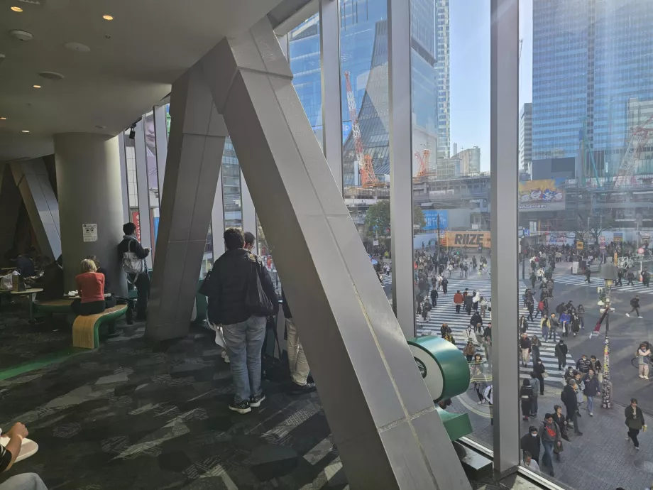 Kilátás a Starbucksból