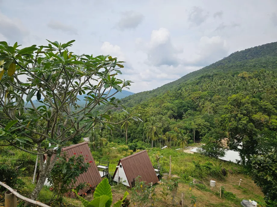 Dzsungel Koh Phangan belsejében