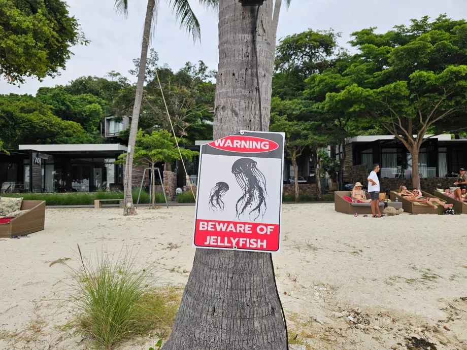 Rin Nai Beach, medúza figyelmeztetés