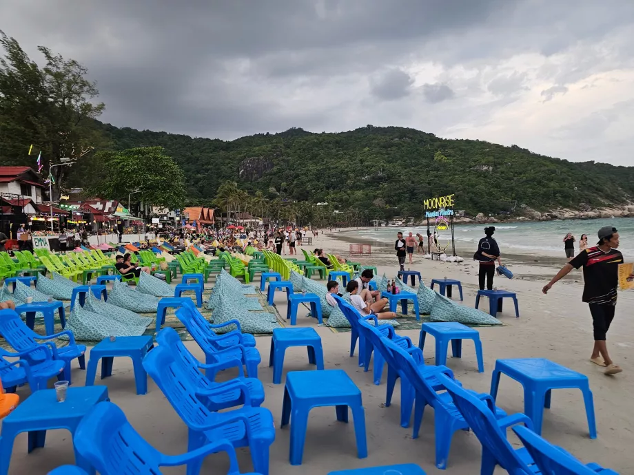 Előkészületek a Telihold Partyra - délután