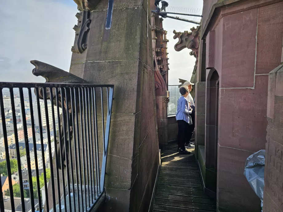 Kilátás a Domturmból