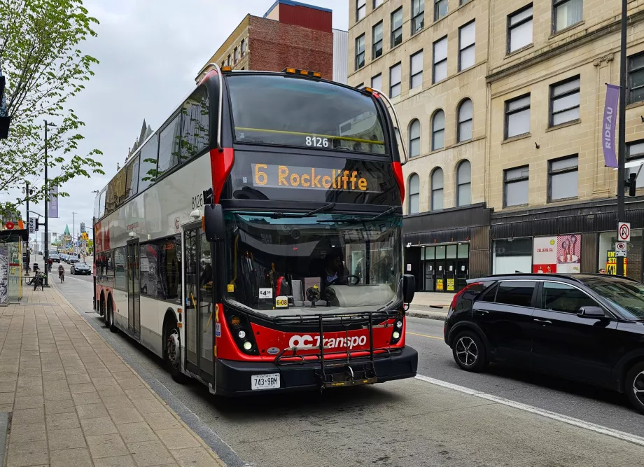 Bus Transpo
