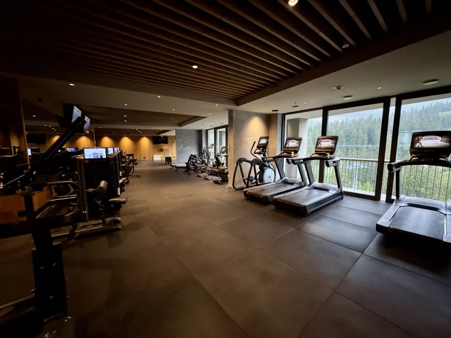Fitneszközpont Swissotel Damian Jasna