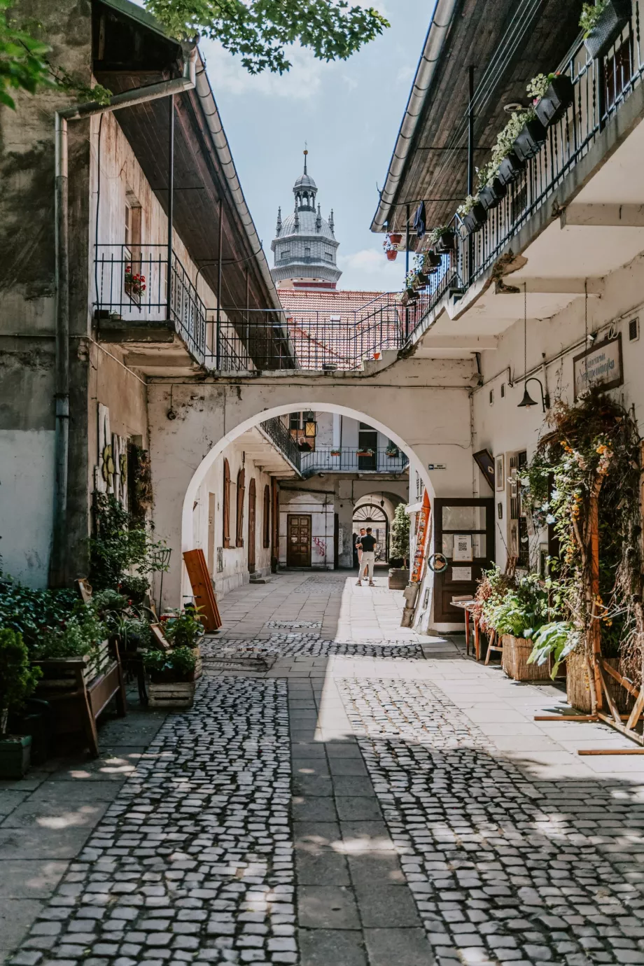 Kazimierz
