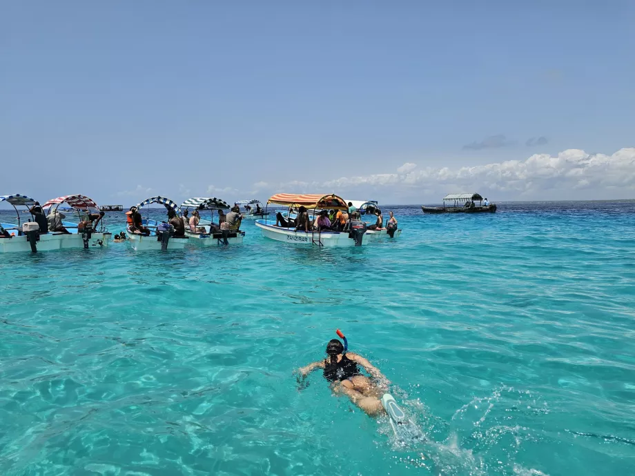 Snorkeling Mnemba atoll közelében