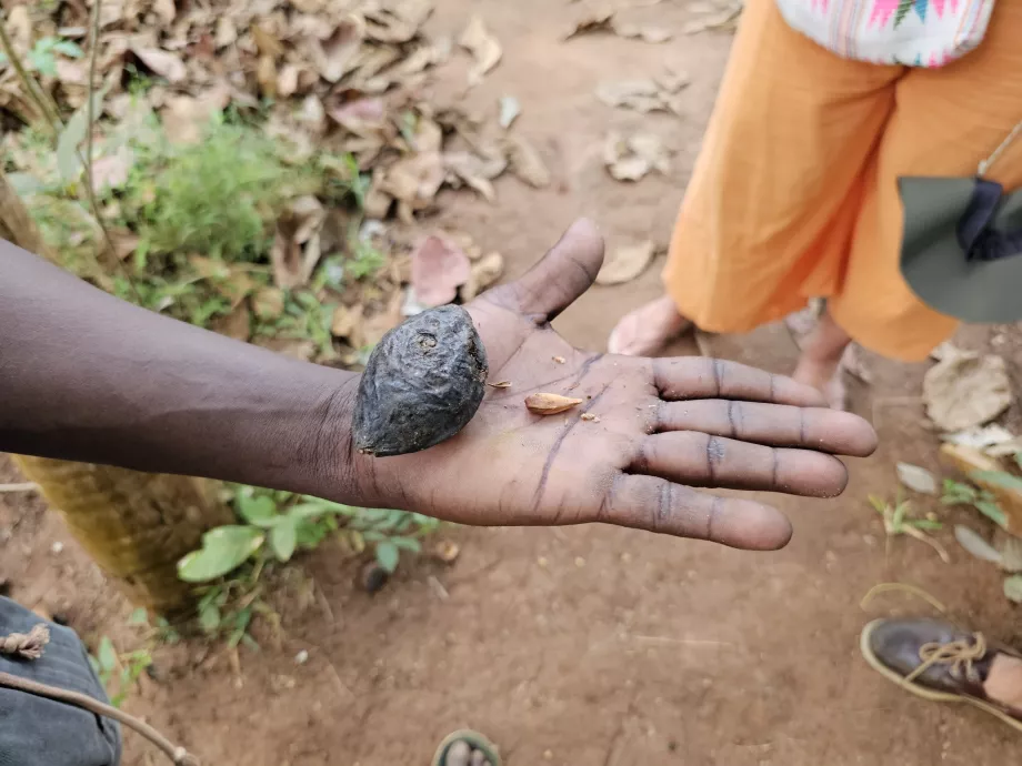 Mandula