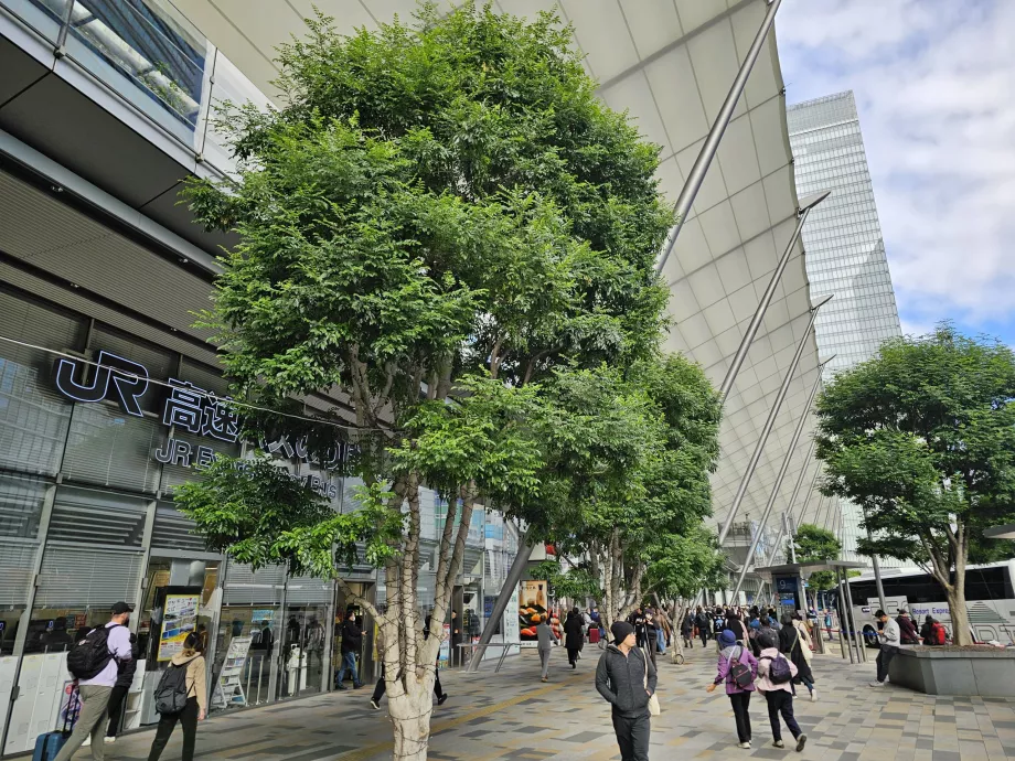 Tokió központi buszpályaudvar