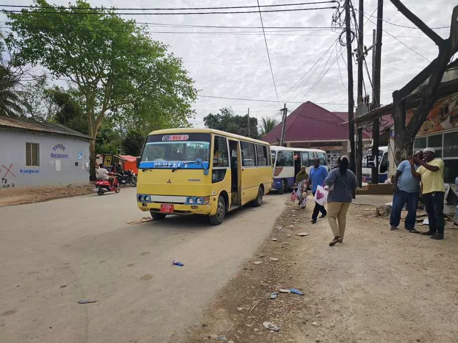 Az élőhely, amit a reptéren adott