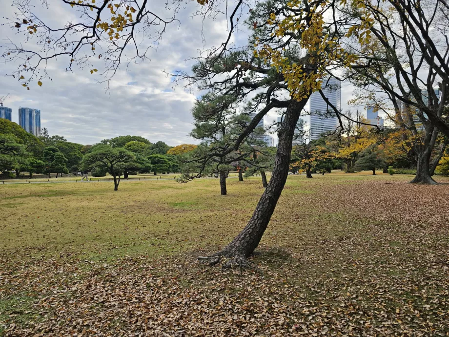 Hama-rikyu Gardens