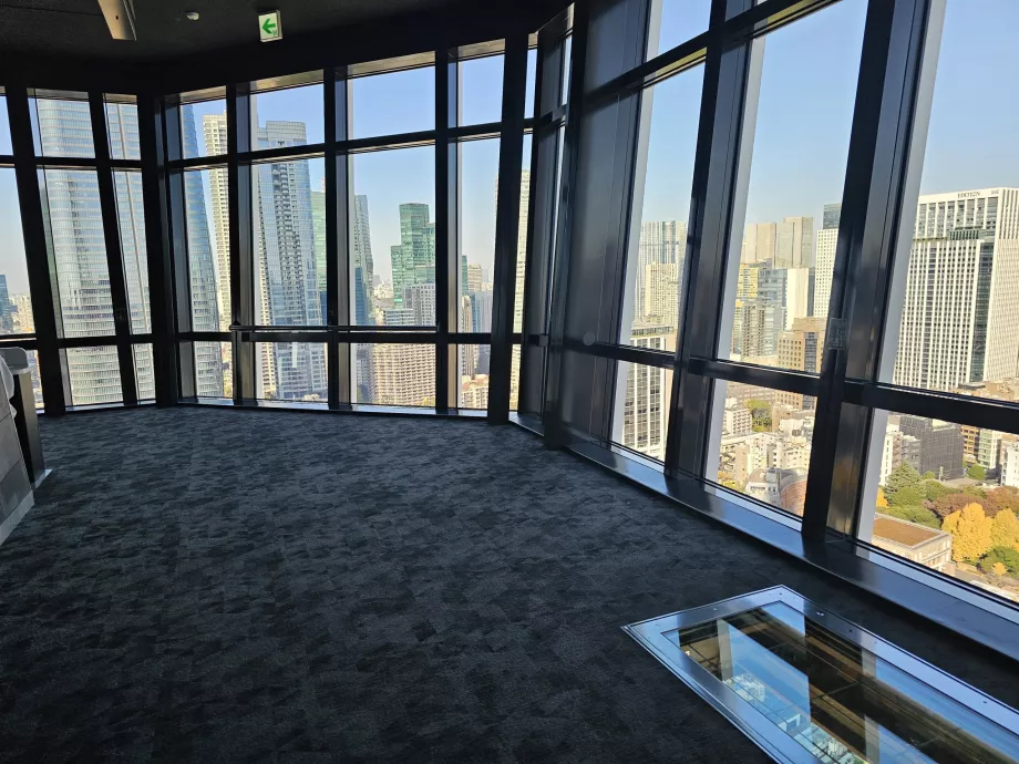 Fő megfigyelő platform