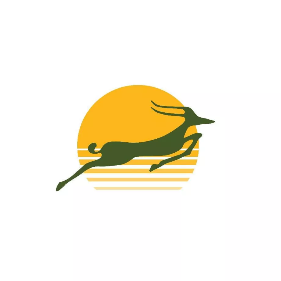 Precision Air logó