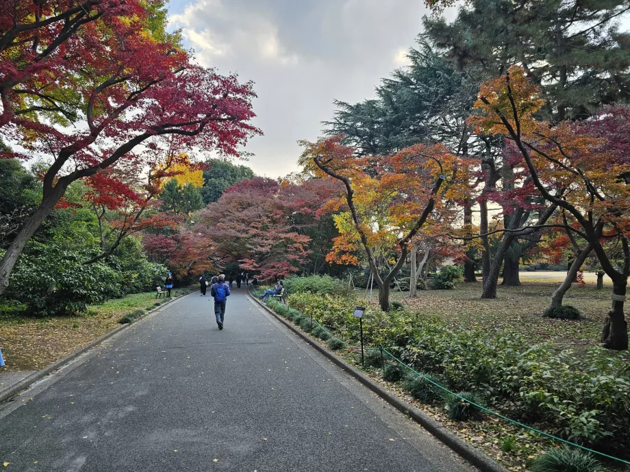 Shinjuku Gyoen Nemzeti Kert