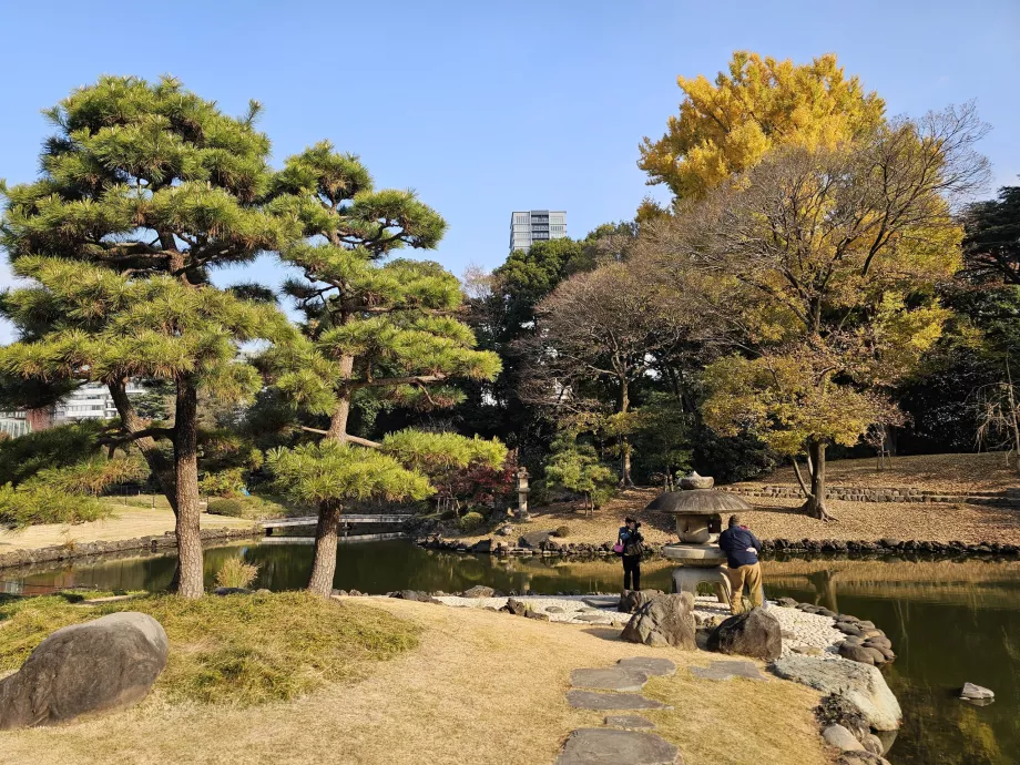Shinjuku Gyoen Nemzeti Kert