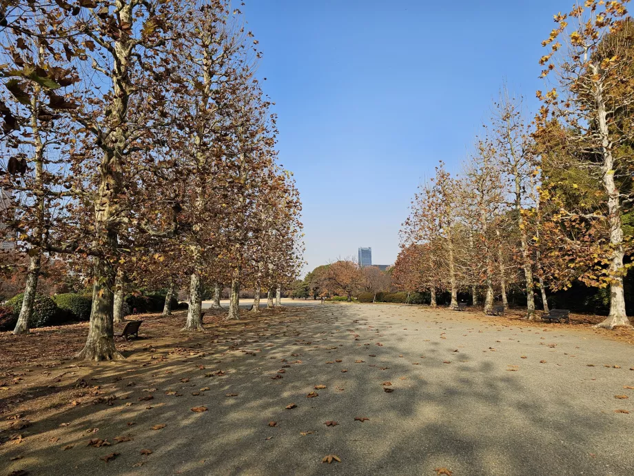 Shinjuku Gyoen Nemzeti Kert
