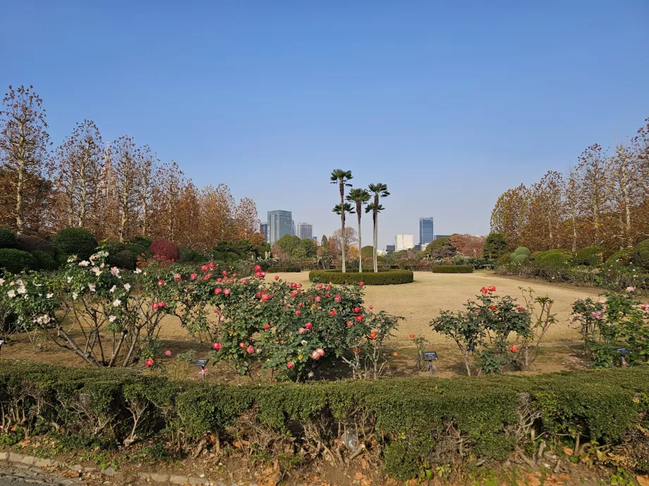 Shinjuku Gyoen Nemzeti Kert