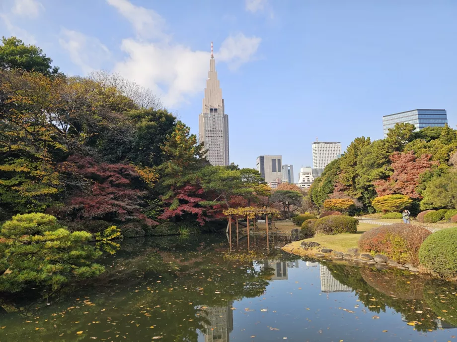 Shinjuku Gyoen Nemzeti Kert