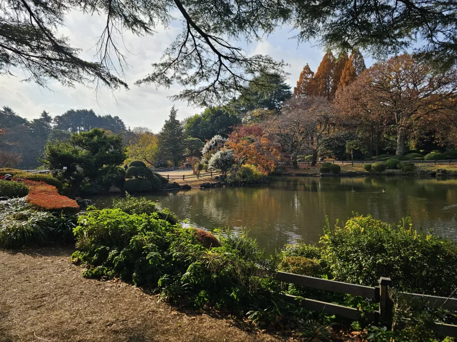 Shinjuku Gyoen Nemzeti Kert
