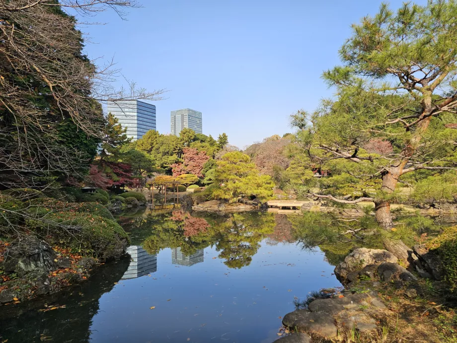 Shinjuku Gyoen Nemzeti Kert
