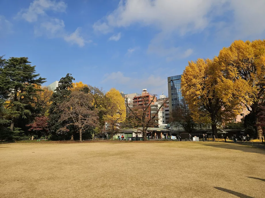 Shinjuku Gyoen Nemzeti Kert