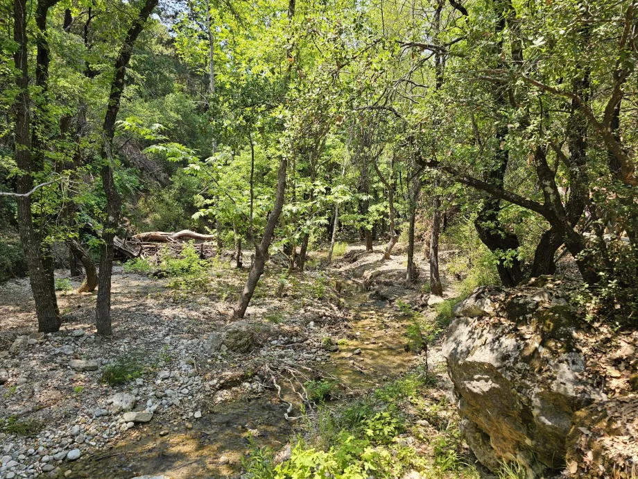 A pillangók völgye