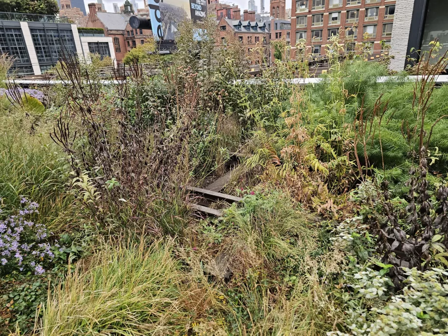 High Line