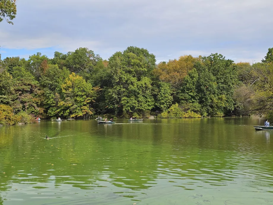 Tó a Central Parkban