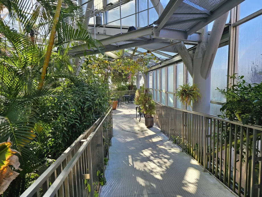 Növényház a Nunobiki Gyógynövénykertben