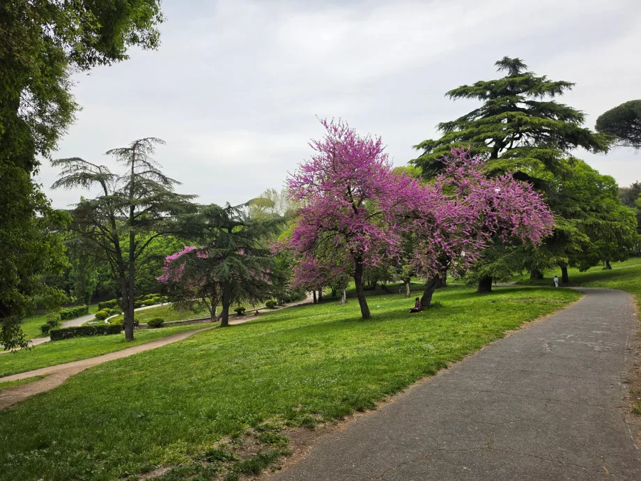 Villa Borghese park