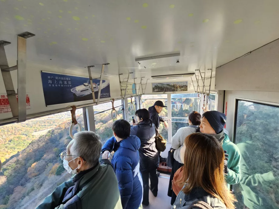 Maya drótkötélpálya