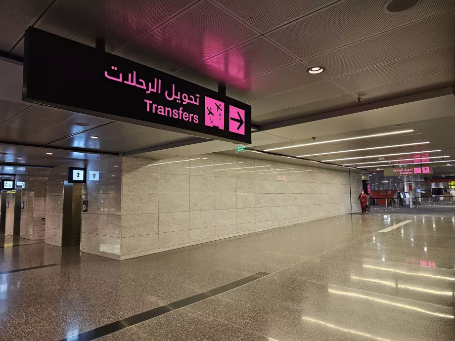 Transzferek