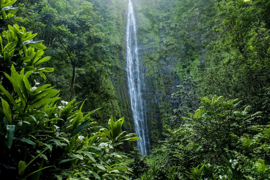 Waimoku vízesés